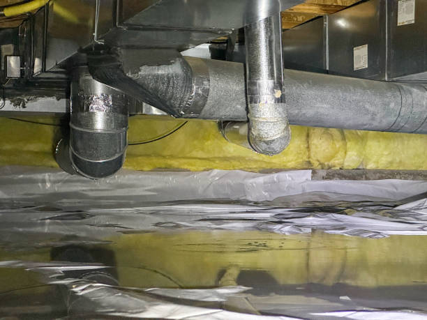 Best Residential water damage restoration  in Rock Valley, IA