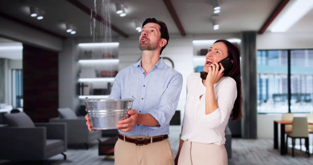 Reliable Rock Valley, IA Water damage restoration Solutions